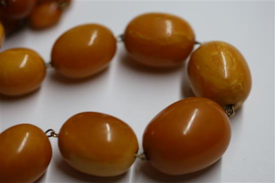 A single strand graduated oval amber bead necklace, 95cm.
